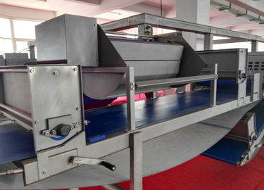 El Plc controla la máquina del rodillo de la pasta de pasteles con anchura de trabajo de 750 milímetros proveedor